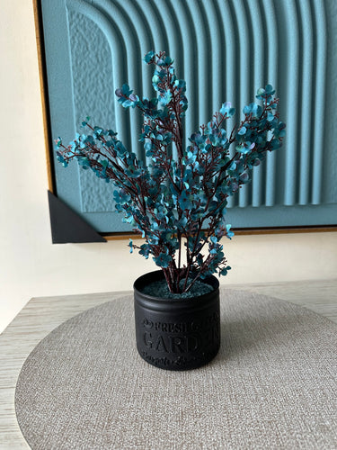 Blue Eucalyptus with Black Planter