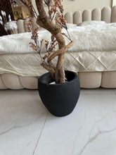 Faux Eucalyptus Beige flower Plant (medium) with Hugo planter Black