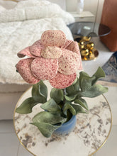 Vintage Flower Pot 002