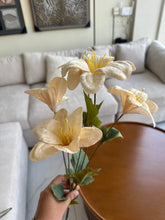 Velvet Lily Flowers 005