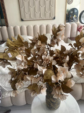 Rustic Bougainvillea Flower Stem