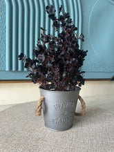 Eucalyptus planter Black