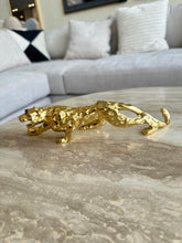 Shiny leopard Imported Small