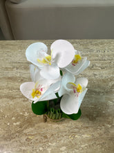 Orchid Standing Bunch medium 002