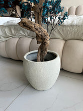 Faux Eucalyptus Blue flower Plant (medium) with Hugo planter White