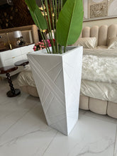 Banana plant with Geometric Pot