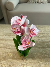 Orchid Standing Bunch medium 006