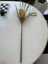 Artificial Banksia Flower Stem
