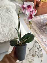 Orchid Planter 012