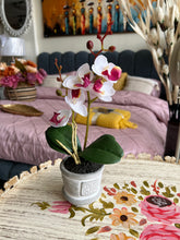 Orchid Planter 006