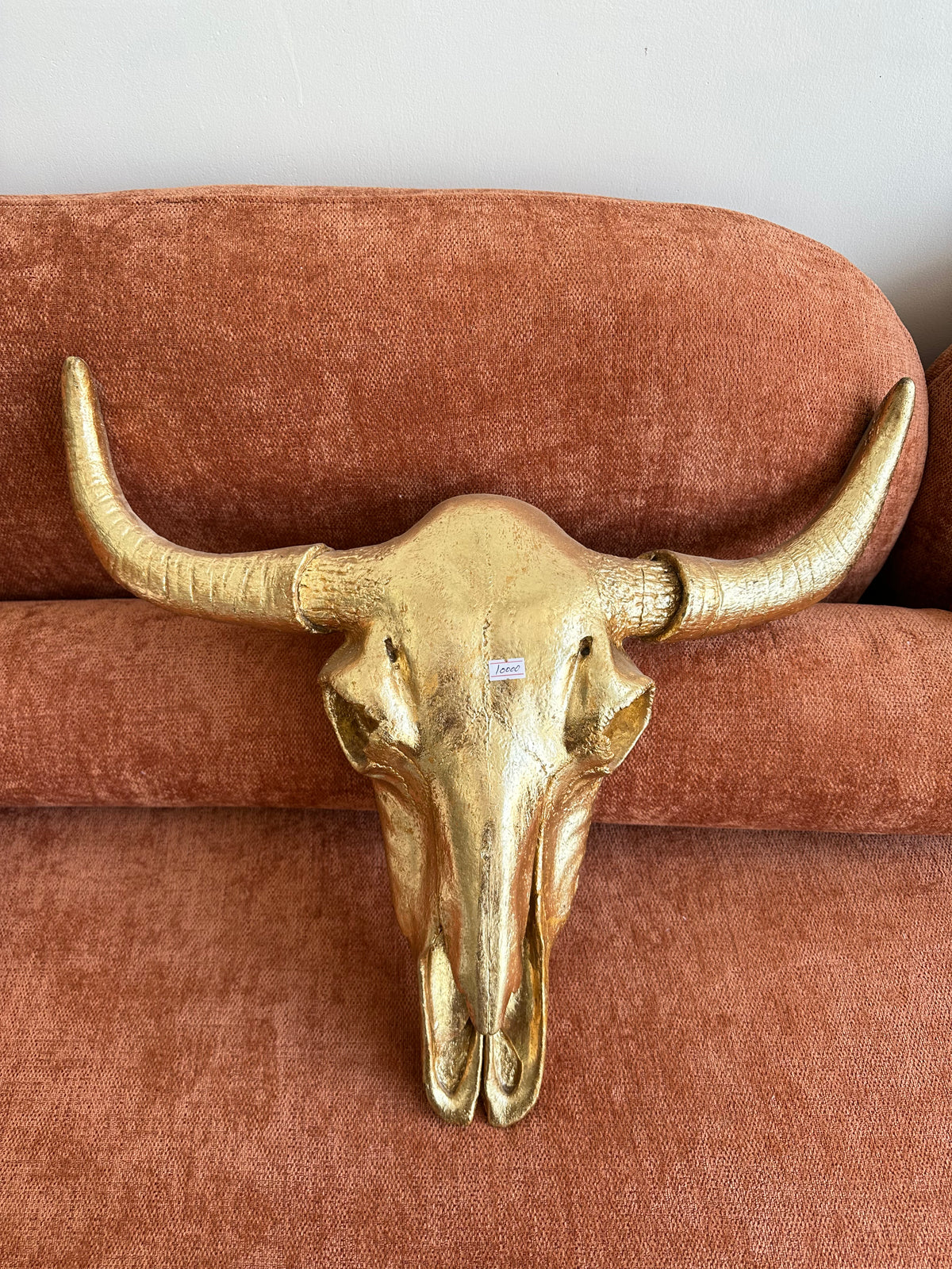 Buffalo Skull