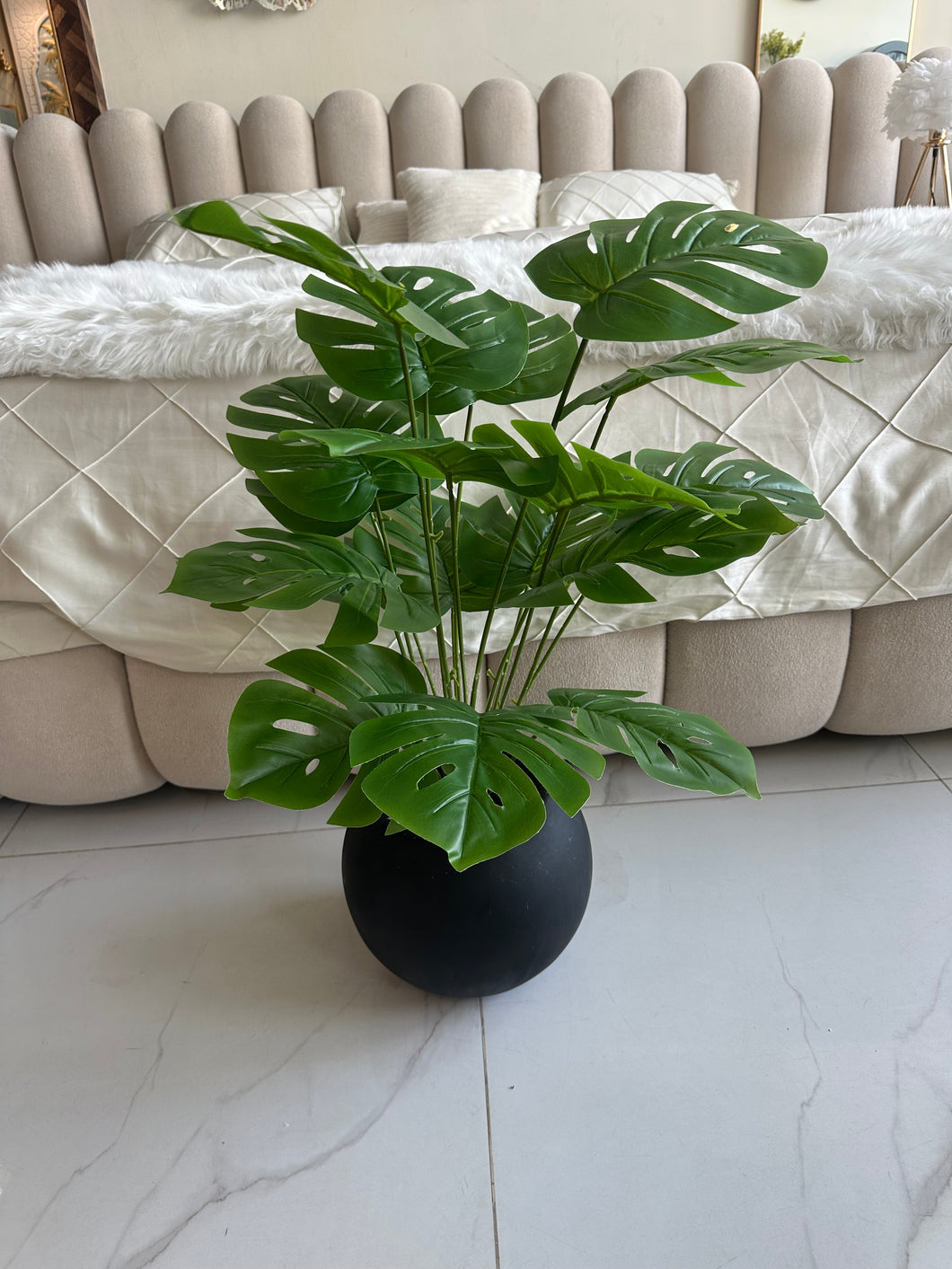 Round Pot  Plant (010)
