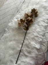 Rustic Bougainvillea Flower Stem