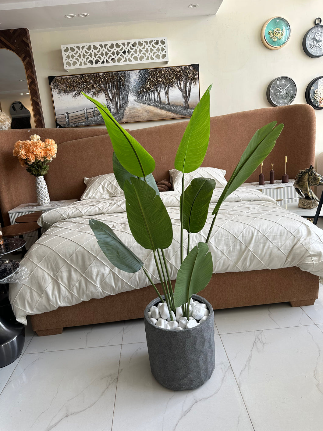 Banana Plant with Grey Texture Pot