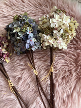Hydrangea Flower Bunches