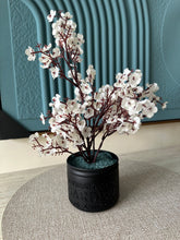 White Eucalyptus with Black Planter
