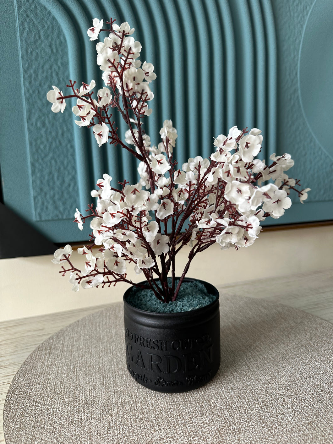 White Eucalyptus with Black Planter