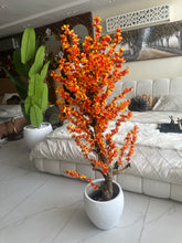 Orange Blossom Flower Plant with textured Planter