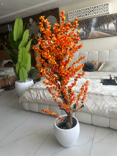Orange Blossom Flower Plant with textured Planter
