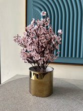 Pink Eucalyptus with Gold Planter