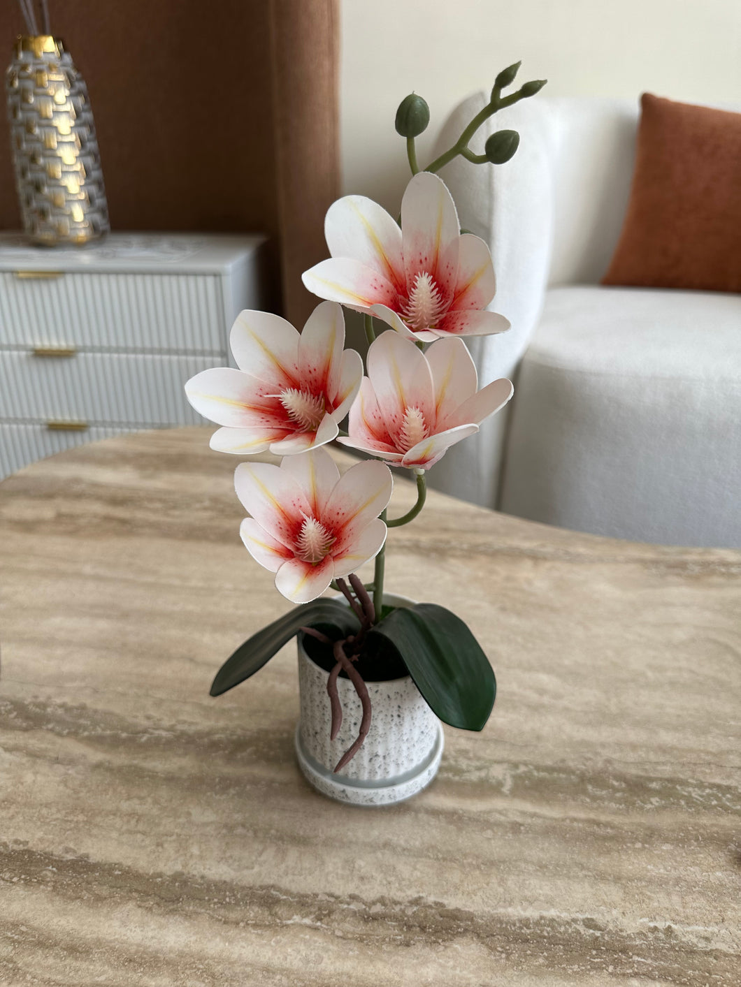 Orchid Planter Red & White 017