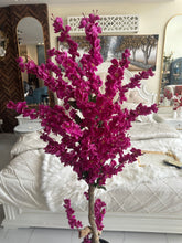 Magenta Blossom Flower Plant with textured Planter Black