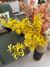 Winter Jasmine Flower