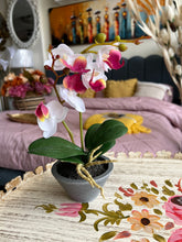 Orchid Planter 003
