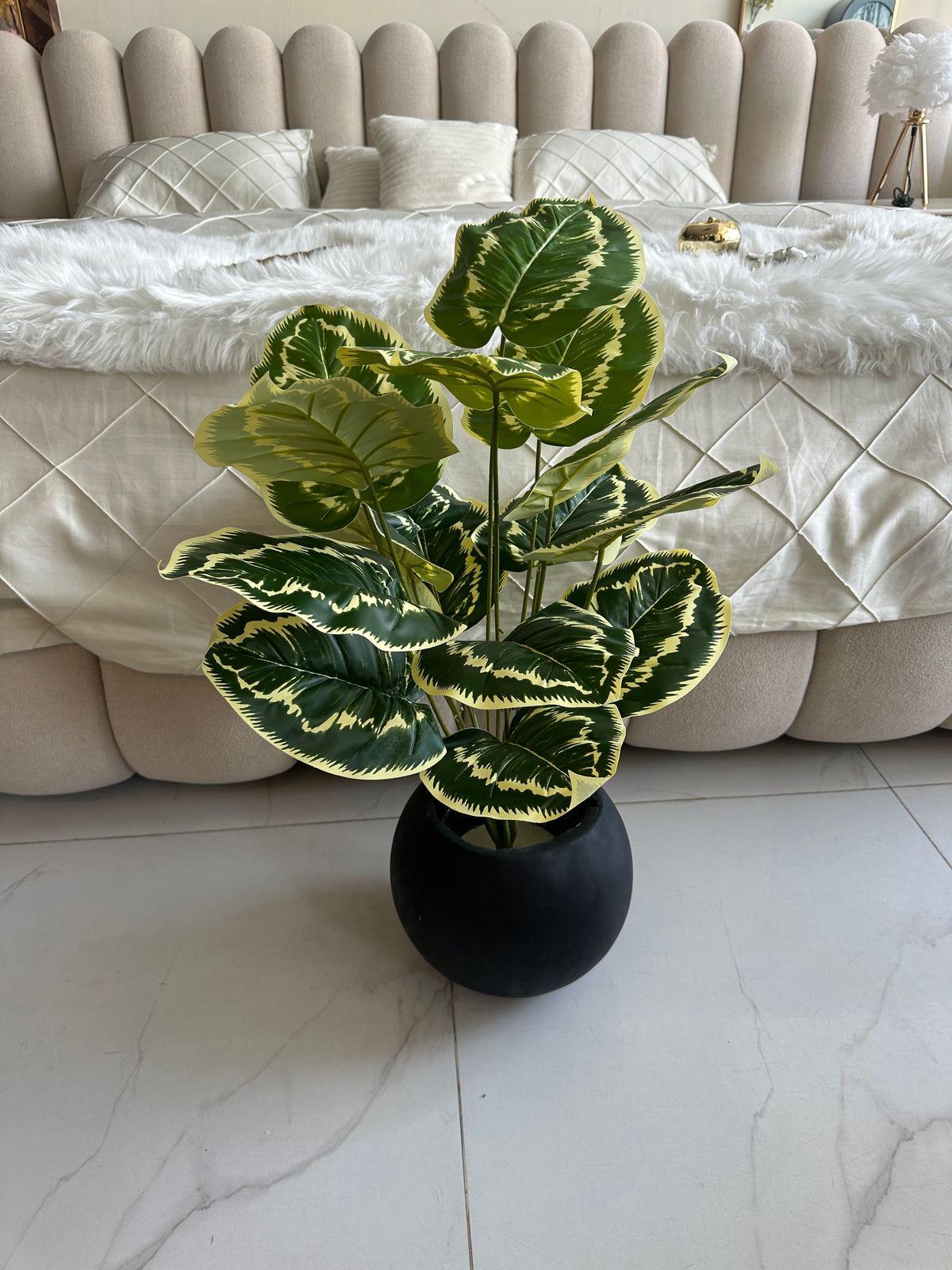 Round Pot  Plant (008)