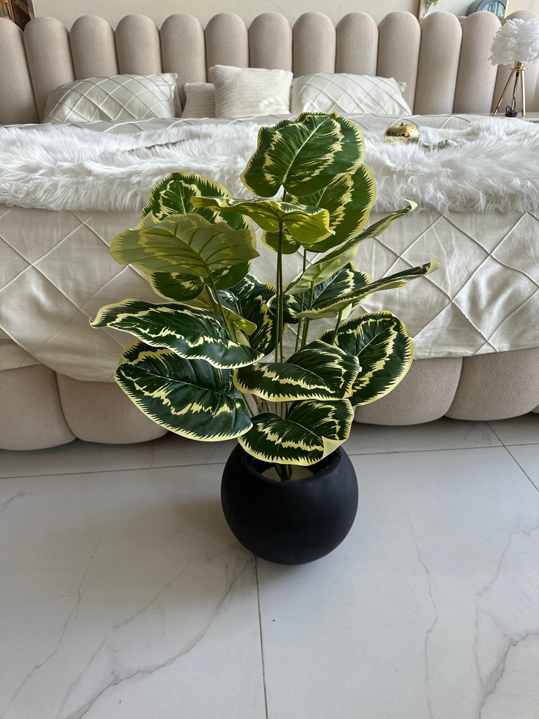 Round Pot  Plant (008)
