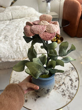 Vintage Flower Pot 002