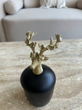 Deer Candy Jar Black