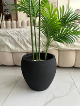 Areca Plant Small with Hugo planter Black