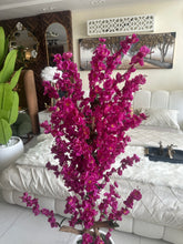 Magenta Blossom Flower Plant with textured Planter