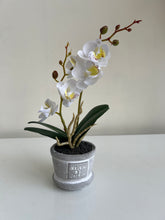 Orchid Planter White 008