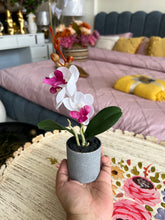 Orchid Planter 005