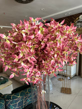 Wild Lilies Flower stem Pink