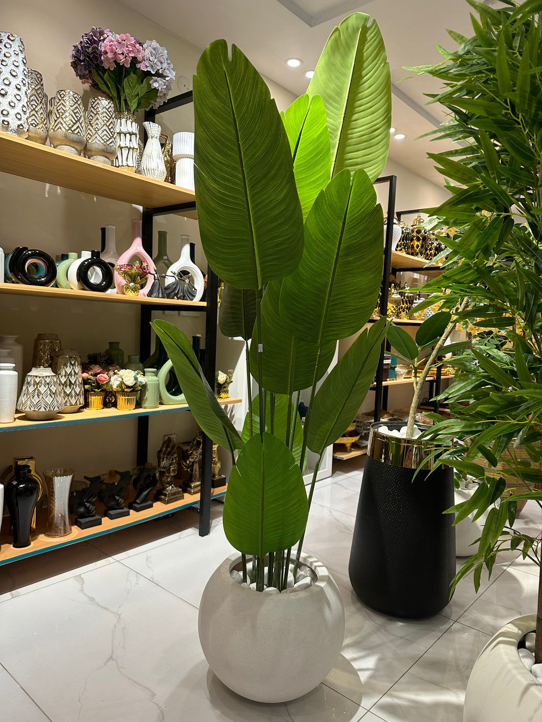 Banana Plant with Round White Texture Pot