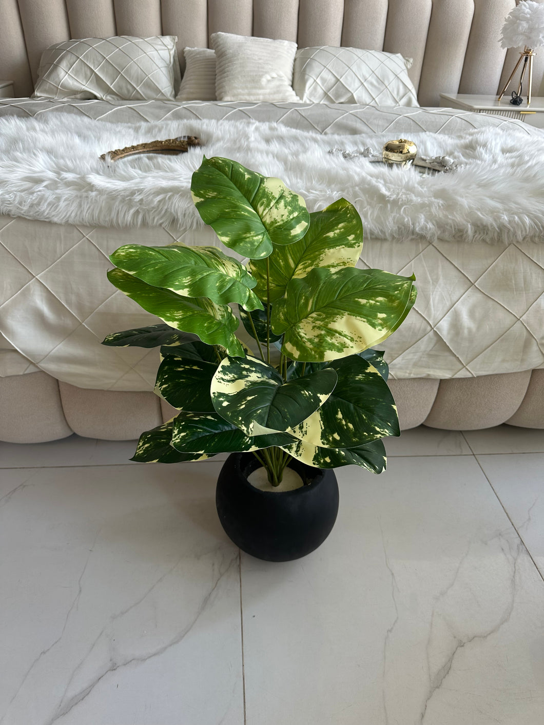 Round Pot  Plant (007)