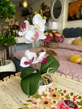 Orchid Planter 011