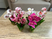 Orchid Standing Bunch medium