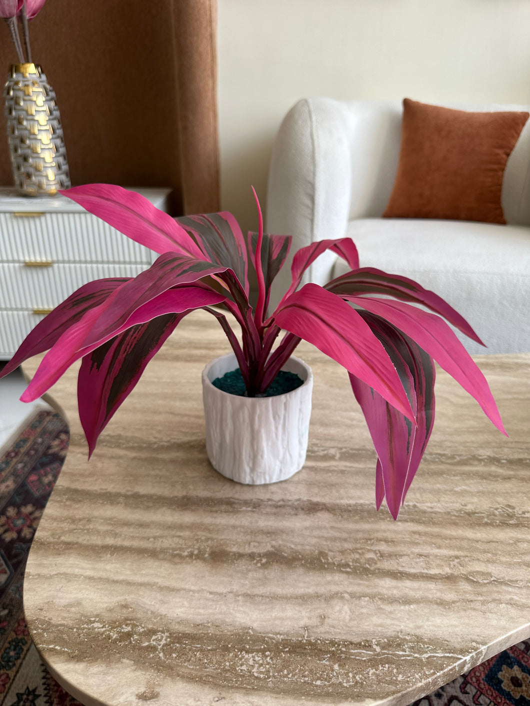 Cordyline Pink Leaf Planter