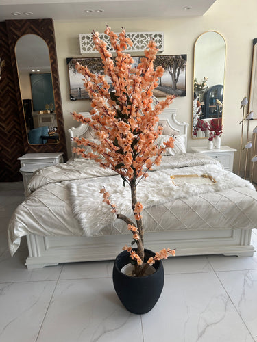Peach Blossom Flower Plant with textured Planter Black