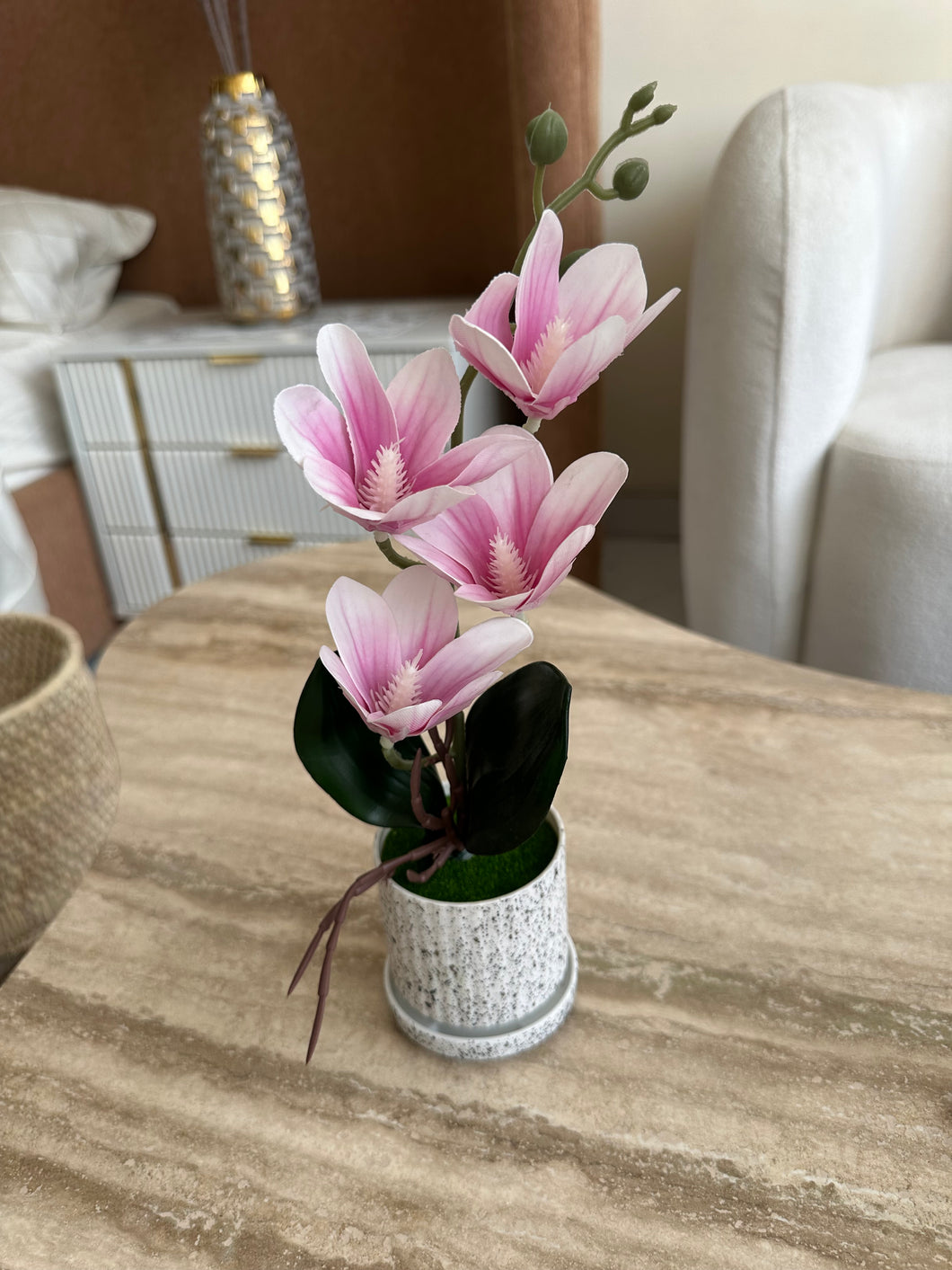 Orchid Planter Pink 016