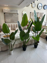 Artificial Banana Plant