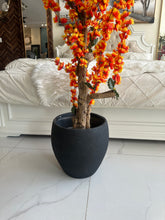 Orange Blossom Flower Plant with textured Planter Black