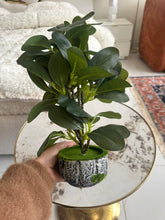 Artificial Plant