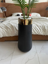 Areca Palm Tree with Large Black Planter