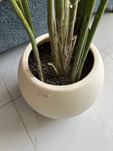Artifical plants and planter 032