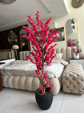 Dark Pink Blossom Flower Plant with textured Planter Black